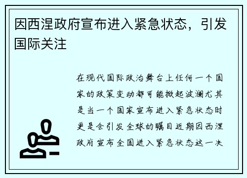 因西涅政府宣布进入紧急状态，引发国际关注